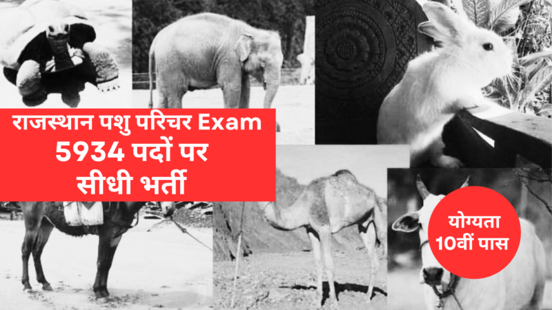 animal attendant bharti notification